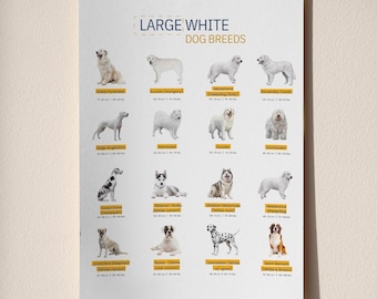 Tabla imprimible de razas de perros blancos grandes