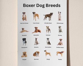 Tabla imprimible de razas de perros bóxer