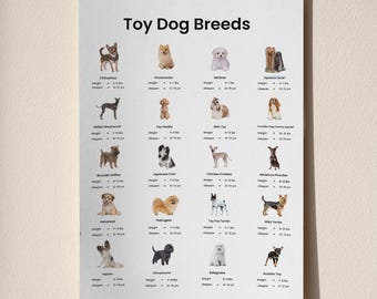 Tabla imprimible de razas de perros de juguete