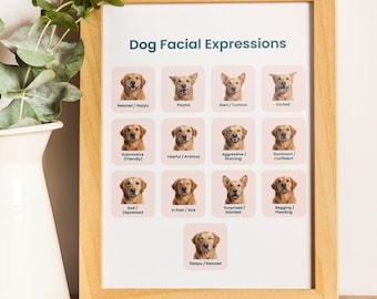 Afdrukbare grafiek gezichtsuitdrukkingen van honden met betekenissen A4 | Gids lichaamstaal honden | Emotiegrafiek honden |