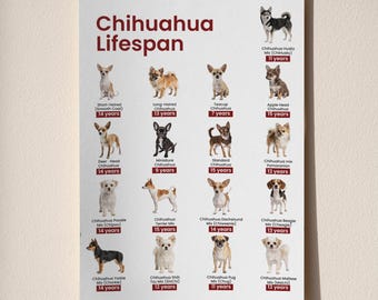 Tabla de esperanza de vida de un chihuahua imprimible