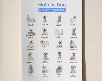 Tabla imprimible de estilos de aseo para perros malteses