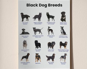 Tabla imprimible de razas de perros negros