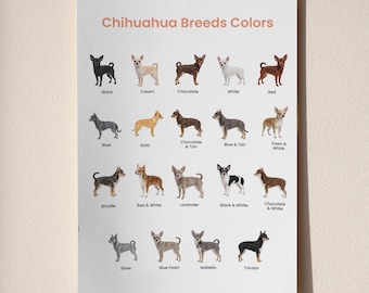 Tabla de colores de razas de chihuahua para imprimir