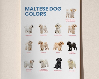 Tabla de colores imprimible para perros malteses