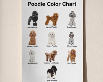 Tabla de colores de razas de caniches imprimible