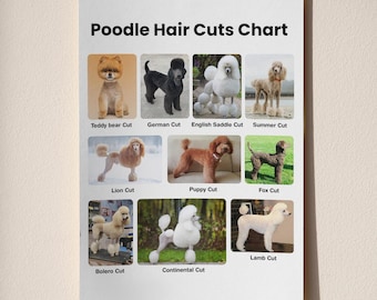 Tabla de cortes de pelo para caniches imprimible