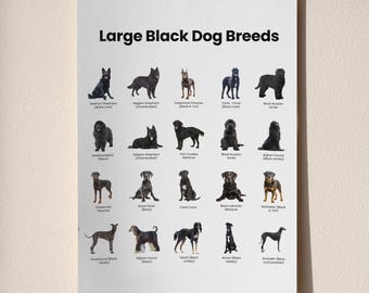 Tabla imprimible de razas de perros negros grandes