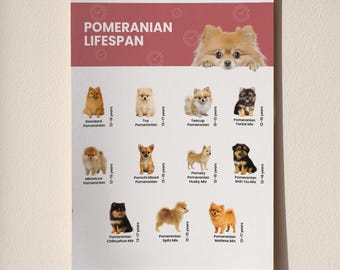 Tabla de esperanza de vida de Pomerania imprimible