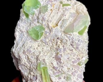 Green Tourmaline Crystals with Lepidolite from Afghanistan (136g)