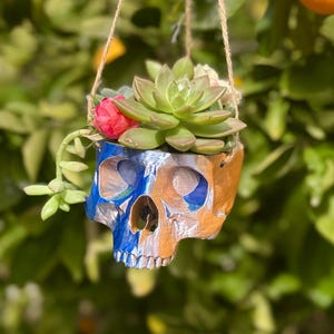 May include: A blue and gold painted skull planter with a succulent plant and a pink flower growing inside. The planter is hanging from a string.