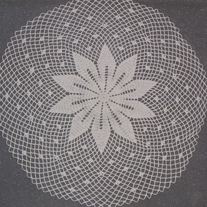 May include: A white, circular doily with a central floral design. The doily is made of crocheted thread, featuring a detailed openwork pattern. The floral center is surrounded by a series of concentric circles of open netting.