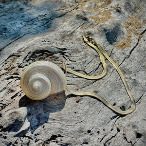 Handmade Pearl Shell Necklace – Beach Jewelry - Mother&#39;s Day Gift - Coastal Boho Necklace