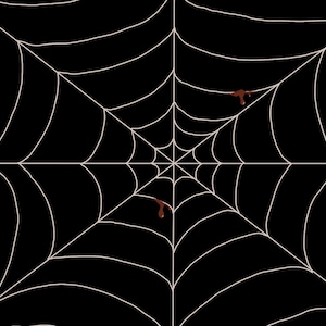 May include: A digitally created image of a spider web against a black background. The web is white with a symmetrical design. Two brown, teardrop-shaped elements are placed on the web, suggesting a Halloween or spooky theme.