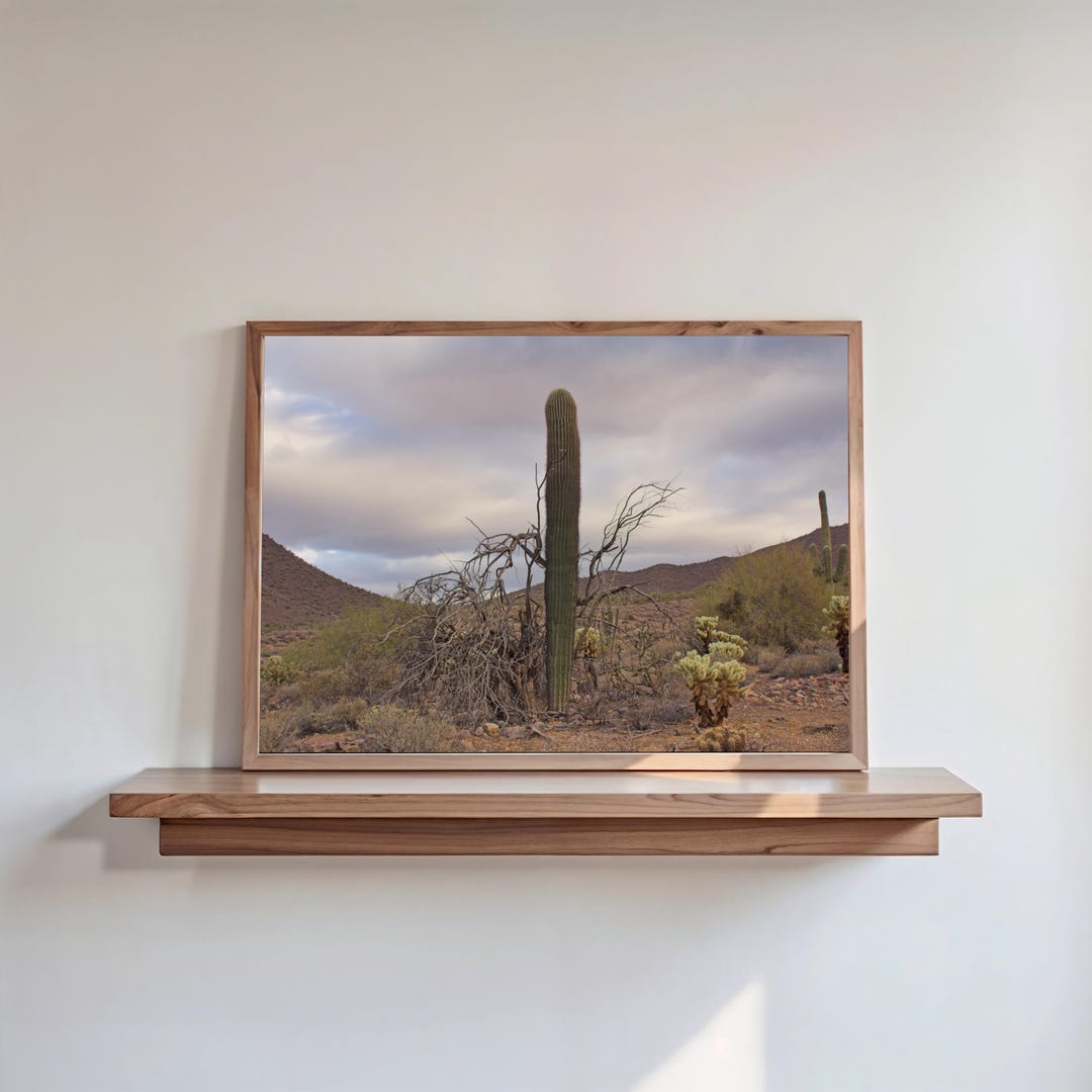 Saguaro Nature Photograph Desert Wall Art & Nature Art Print for