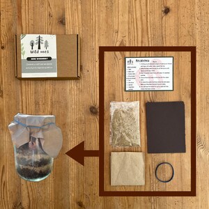 May include: A children's craft and gardening activity kit inspired by nature. The kit includes a cardboard box, a glass jar, a bag of sand, a piece of dark paper, a small paper bag, and a rubber band. The box reads "Wild Ones" and "Mini Wormery".