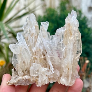 Faden Quartz Specimen: Natural Crystal Cluster from Baluchistan Pakistan