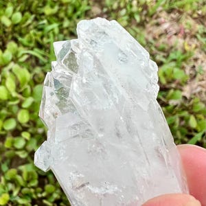 Puede incluir: Un grupo de cristales de cuarzo transparente con múltiples puntas. El cristal es transparente con una apariencia ligeramente turbia y se sostiene contra un fondo de follaje verde.