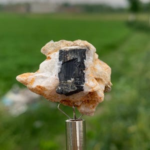 以下が含まれることがあります： 白石英と茶色の岩の母岩に部分的に埋め込まれた、生の自然な黒トルマリン結晶標本。 トルマリンは縞模様のテクスチャで、ぼやけた緑色の背景に対して金属製のツールで保持されています。
