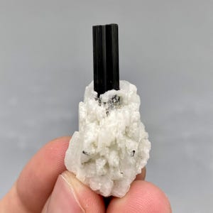 May include: A black tourmaline crystal stands upright on a white quartz base. The tourmaline is a dark, opaque color with vertical striations. The quartz has a rough, crystalline texture. The background is a solid, neutral gray.