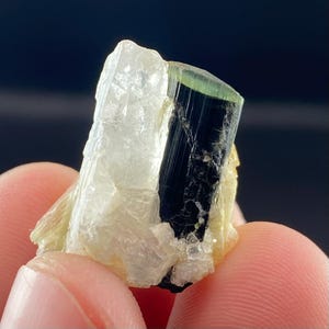 May include: A close-up of a multi-colored tourmaline crystal. The crystal features a clear, white section, a black section, and a green section. The crystal is held in a person's hand, with a dark background.