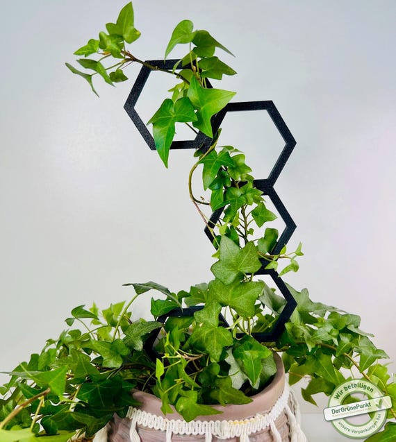 Personalisierbares Pflanzengitter Klein Rankgitter / 3D Gedruckt - Etsy.de