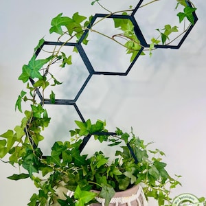 Könnte beinhalten: Ein schwarzes, sechseckiges Pflanzen-Gitter aus Metall mit einer grünen Efeu-Pflanze, die daran hochwächst. Die Pflanze steht in einem braunen Topf mit weißen Fransen.