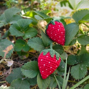 10 pieces strawberry. strawberry for cardigan. strawberry accessory. handmade strawberry accessory. gift for her. strawbery for sweater.