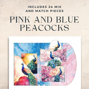 Pacote de fólio de pavão rosa e azul, bolsos de pavões com flores de cerejeira, envelope de pavão com sakura blush, hanami e pavões, meditação diária