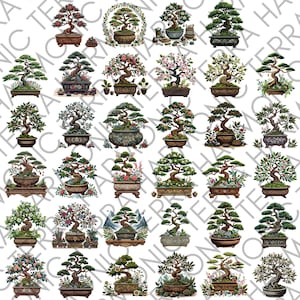 May include: A collection of various bonsai trees in decorative pots. The trees feature different styles, including flowering and evergreen varieties, with detailed branches and foliage. The pots are in various shapes and colors, creating a diverse display.