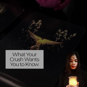 Psychic Crush Tarot Reading: Same Day Insight into Love & Intentions (PDF Format