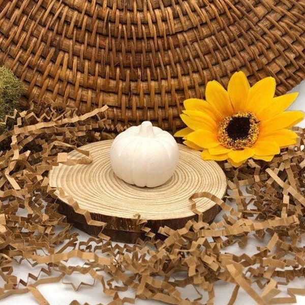 Little Teeny Pumpkin, Ceramic Bisque Blank,  Ready to Paint Pottery, DIY Project for Fall, Halloween and Thanksgiving, Craft idea