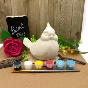 Bird Craft Kit with Acrylic Paint Set, Ceramic Bisque, Arts and Crafts Gift Set