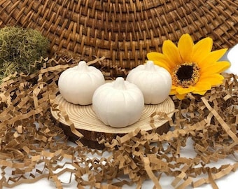 Little Teeny Pumpkin  - Ceramic Bisque Ready to Paint - DIY Project