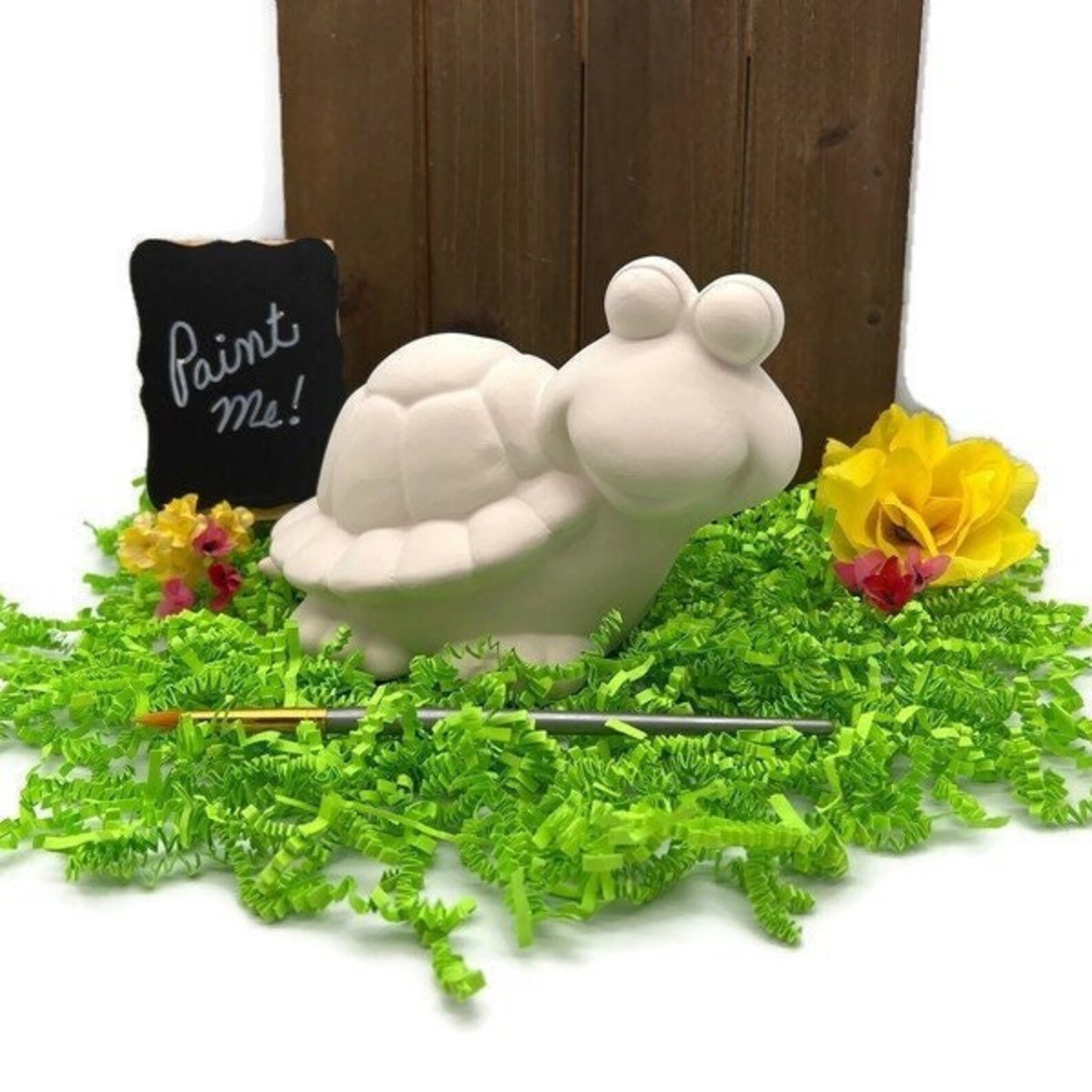 Turtle Coin Bank DIY Project Ceramic Bisque Ready to Paint Etsy