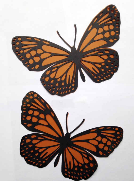 Butterfly habitat for kids picture