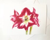 Il_170x135