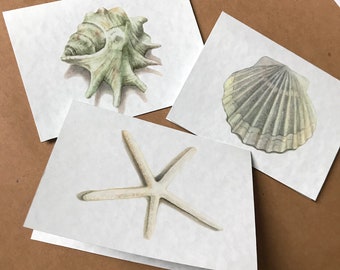 Sea Shell stationery cards set of 6