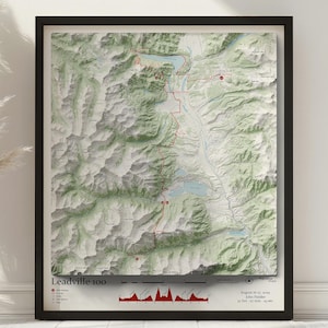 May include: Framed topographical map print of the Leadville 100 race course. The map features a red line tracing the route across a detailed green and tan landscape. Includes the text "Leadville 100" and race details.