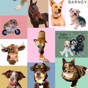 Custom Pet Drawing