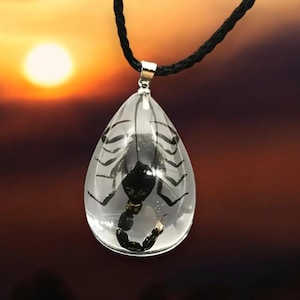 Faux Scorpion Teardrop Pendant – Clear Resin Necklace, Gothic Statement, Scorpio Zodiac Gift, Ethical Jewelry, Not a Real Scorpion