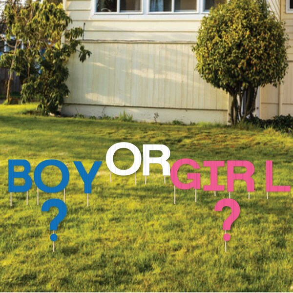 Baby Announcement Gender Reveal Lawn Signs, Boy or Girl ?? plastic letters for lawn decorations, Baby Shower