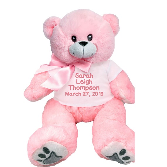 pink and blue teddy bear