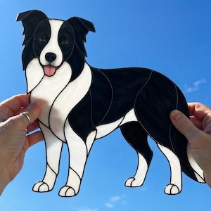 Op de afbeelding: Een glas-in-lood zonnevanger in de vorm van een Border Collie hond. Het stuk bestaat uit ondoorzichtige zwarte en witte glassegmenten verbonden door donkere soldeerlijnen, met een witte borst, bles op het gezicht, witte poten en een roze tong.