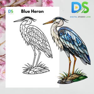 May include: A detailed illustration of a Blue Heron bird, with a color-by-number outline on the left and a completed, colorful version on the right. The finished heron features blue, gray, and white feathers, with a yellow beak and legs. The text "Blue Heron" is displayed.