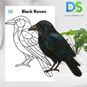 May include: A black raven stained glass art piece with a detailed outline for colouring. The artwork features the text "Black Raven" and the logo "DS DIGITAL STUDIO LANE". The raven is depicted in a realistic pose.