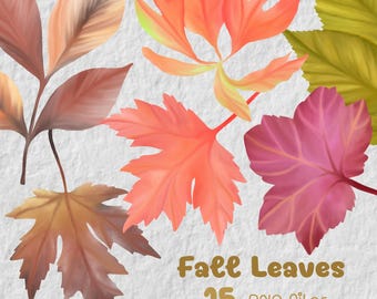 Paquete de imágenes prediseñadas de hojas de otoño en acuarela, PNG de hojas de otoño, imágenes prediseñadas de hojas de arce, elementos de follaje otoñal, diseño para sublimación