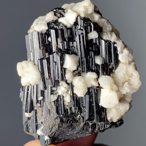 May include: A cluster of black tourmaline crystals with white quartz crystals. The tourmaline crystals are long and slender, while the quartz crystals are smaller and more rounded.