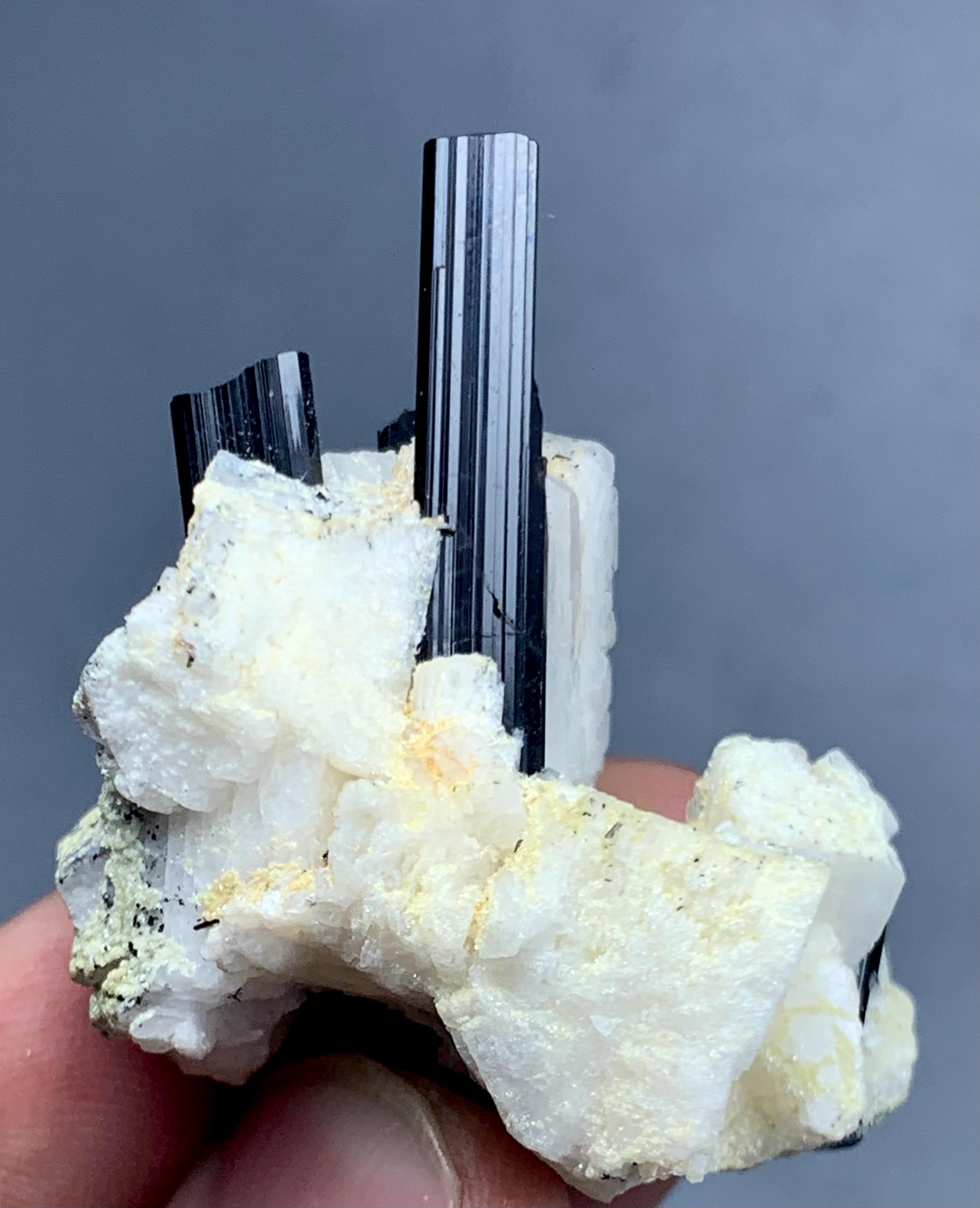 天然の終結ショールブラックトルマリンクリスタル。 アルバイトを含む、天然の終結したショールブラックトルマリン