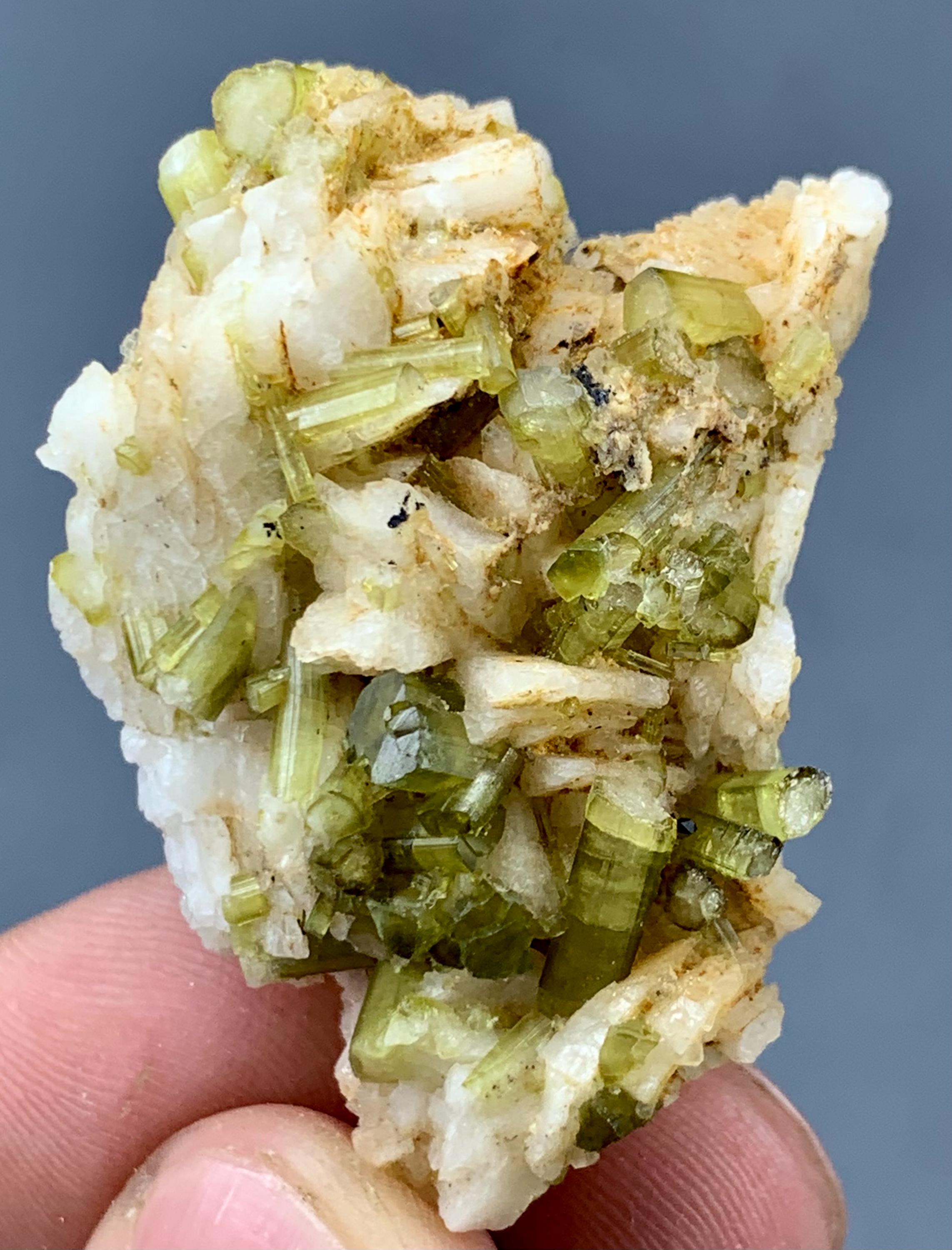 パキスタン産、アルバイト入り、22グラムの見事なグリーントルマリン